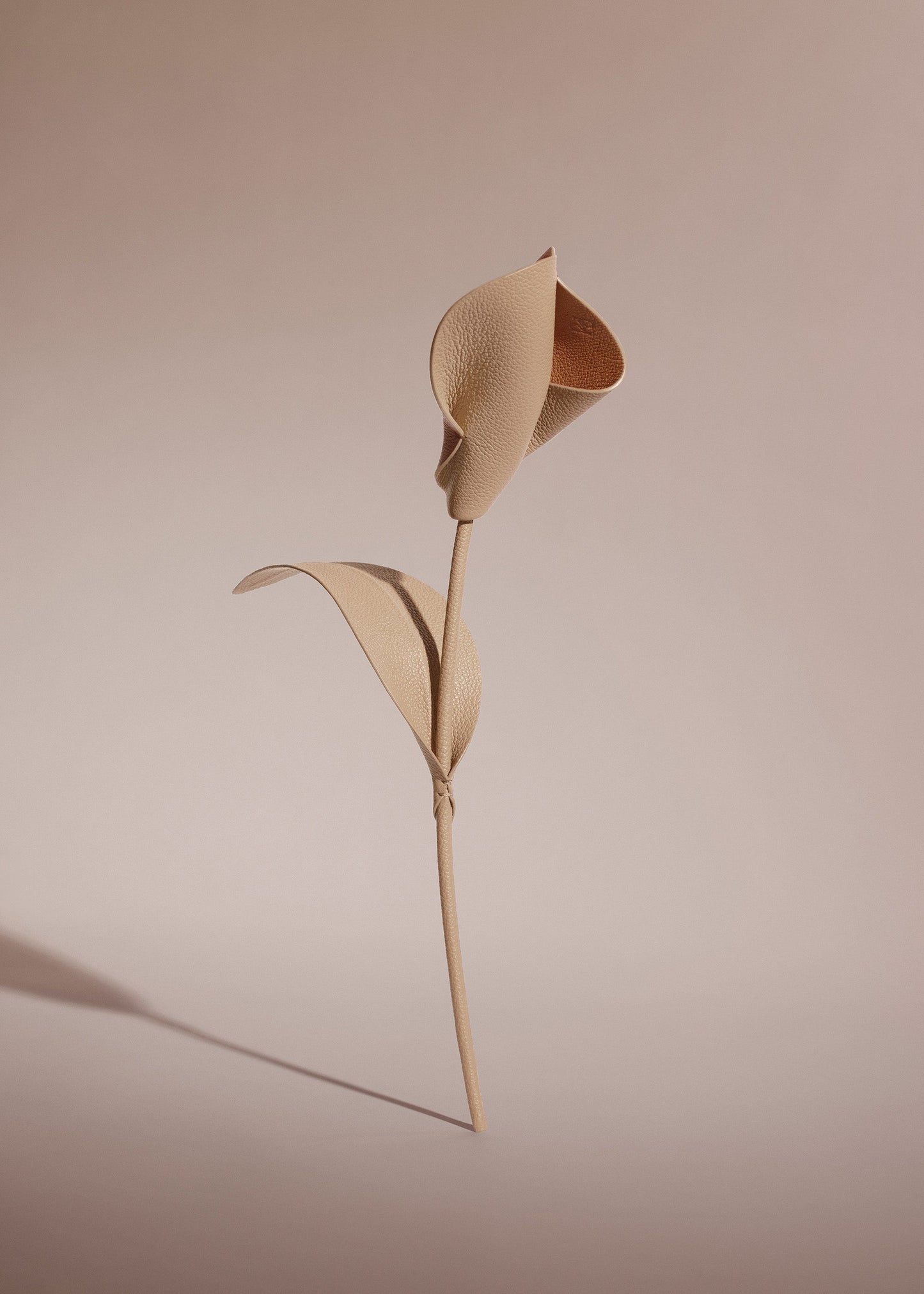 Fleur Pili - Duo Beige