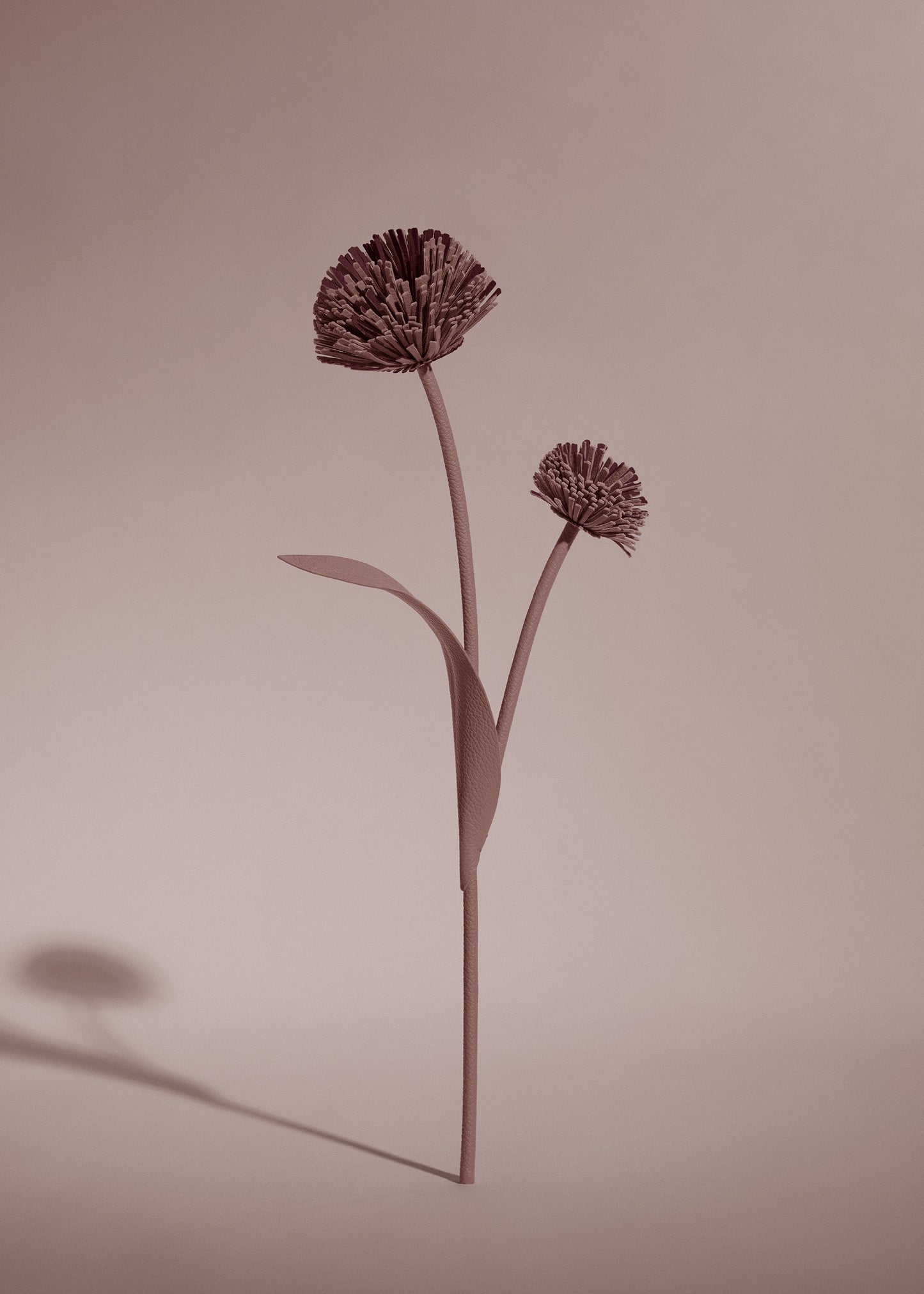 Fleur Tul - Duo Lilas