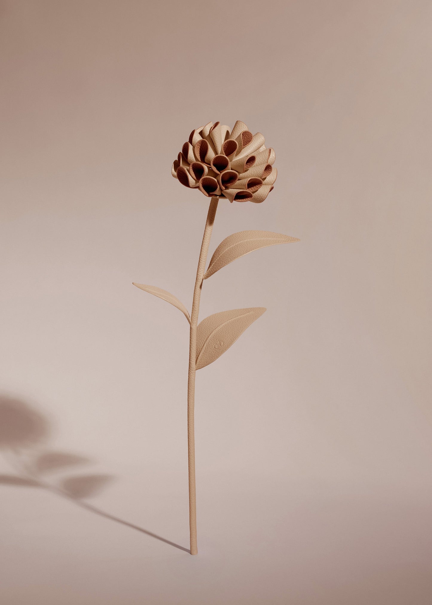 Fleur Dalium - Duo Beige