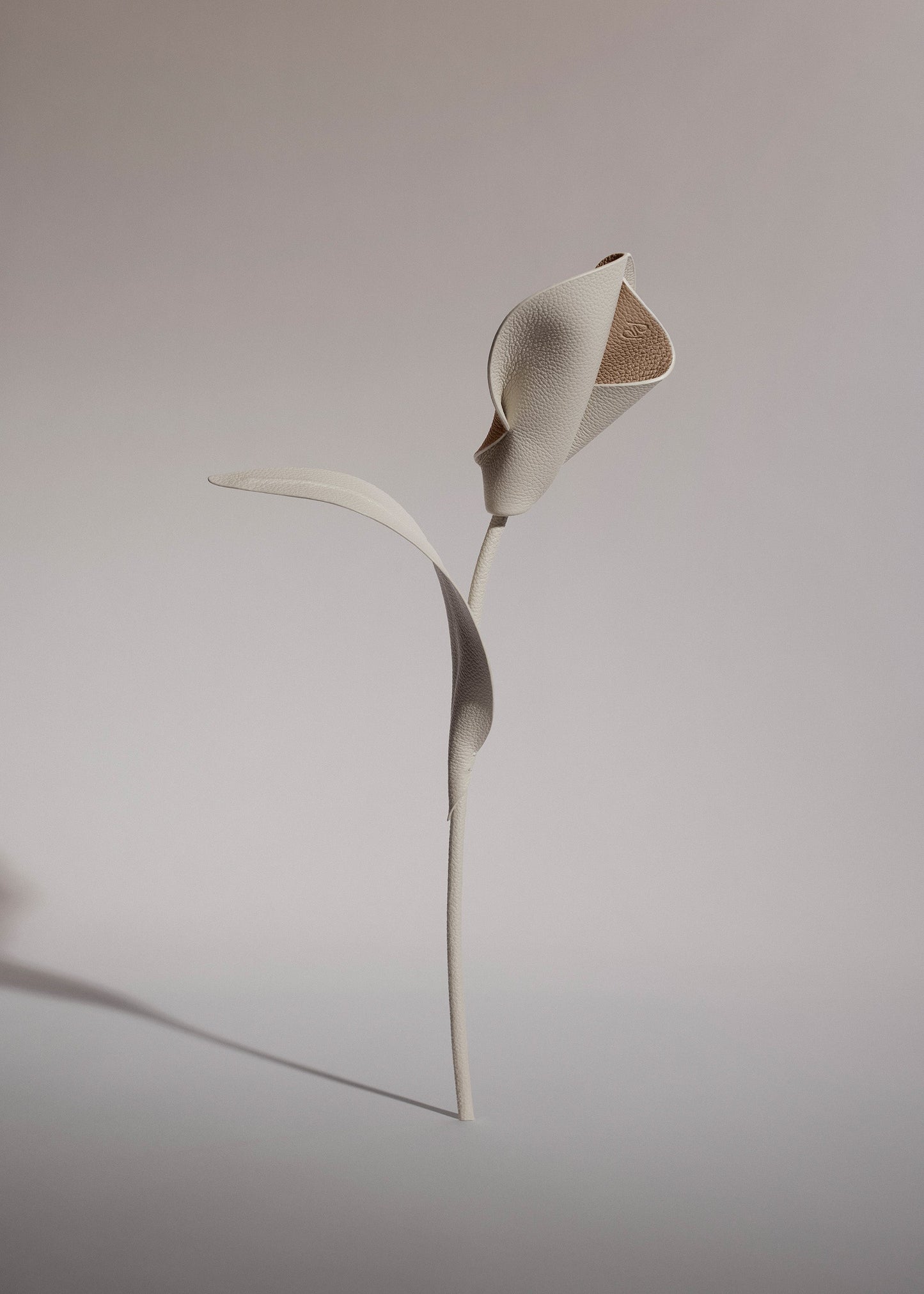 Fleur Pili - Duo Craie