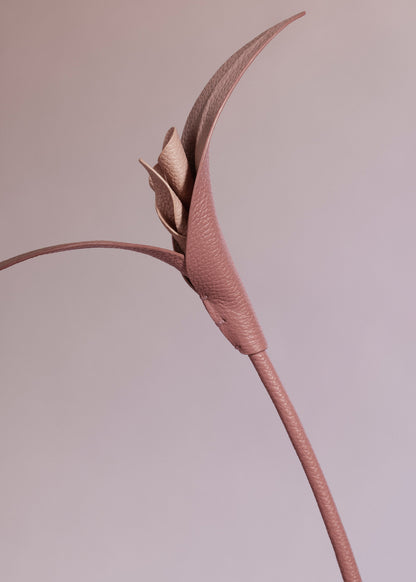 Fleur Touka - Trio Blush Grainé