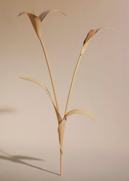 Fleur Touka - Trio Blé Grainé