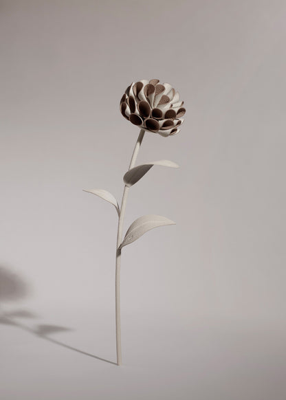 Fleur Dalium - Duo Craie