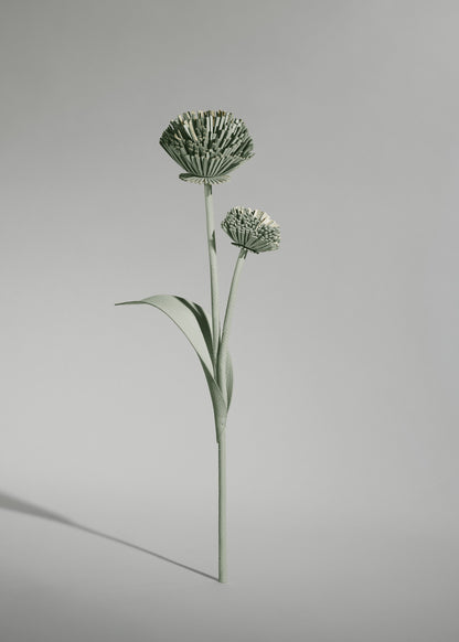 Fleur Tul - Duo Amande Fraîche