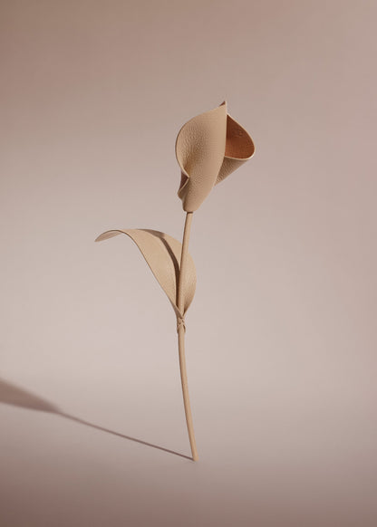 Fleur Pili - Duo Beige