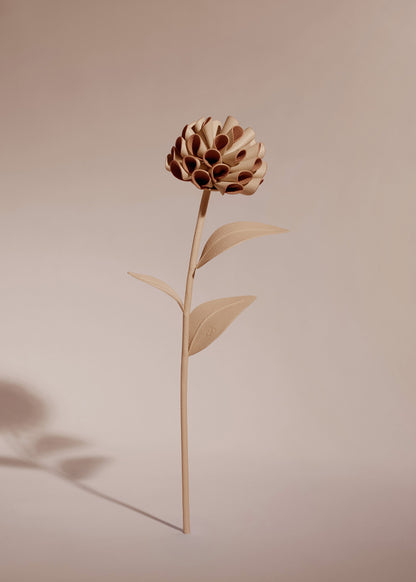 Fleur Dalium - Duo Beige