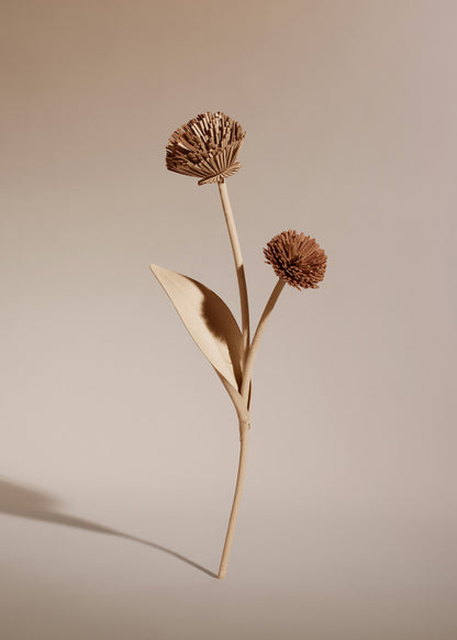 Fleur Tul - Duo Beige