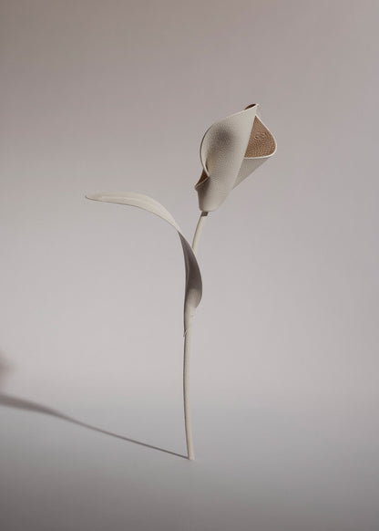 Fleur Pili - Duo Craie