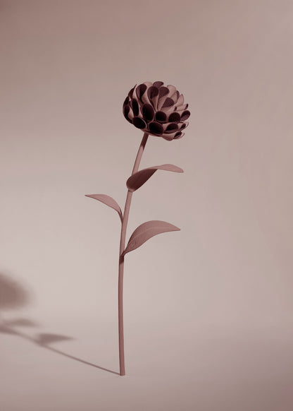 Fleur Dalium - Duo Lilas