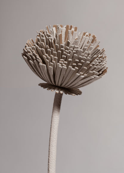 Fleur Tul - Duo Craie
