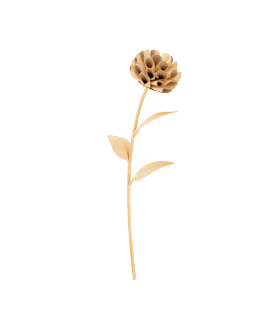 Fleur Dalium - Duo Blé Grainé