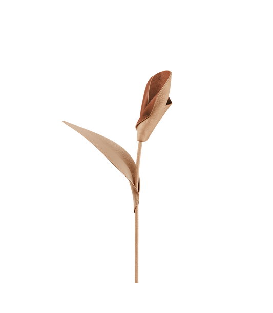 Fleur Pili - Duo Beige