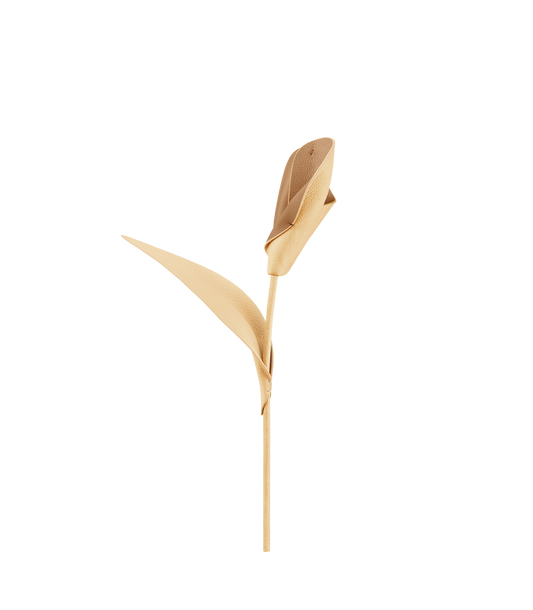 Fleur Pili - Duo Blé Grainé