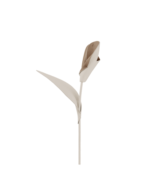 Fleur Pili - Duo Craie
