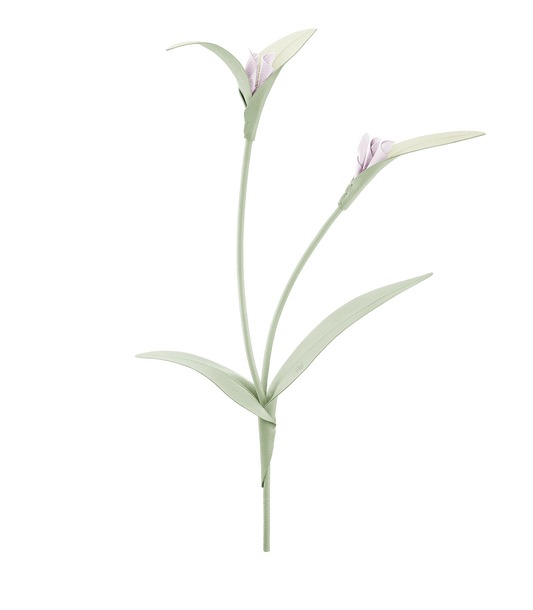 Fleur Touka - Trio Amande Fraîche
