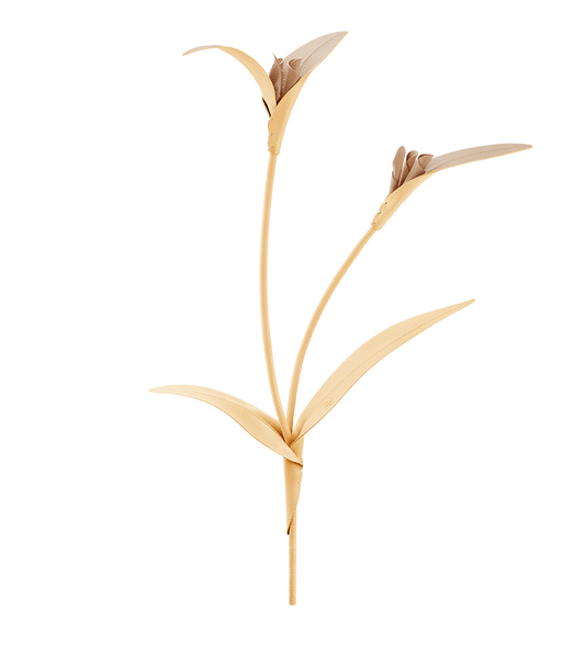 Fleur Touka - Trio Blé Grainé