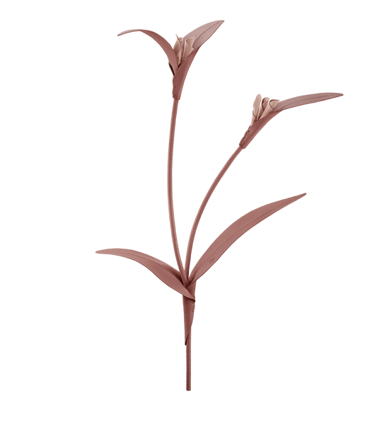Fleur Touka - Trio Blush Grainé