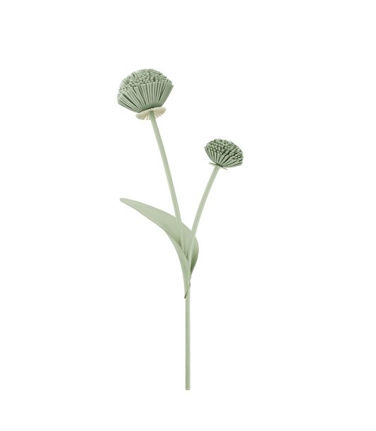 Fleur Tul - Duo Amande Fraîche