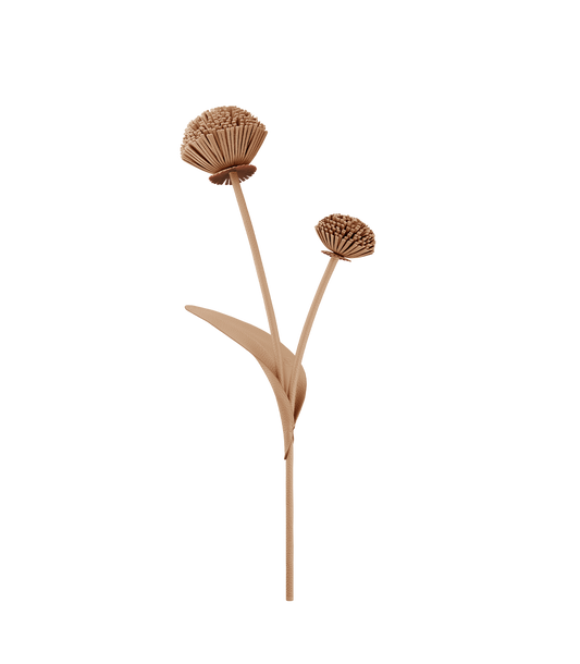 Fleur Tul - Duo Beige