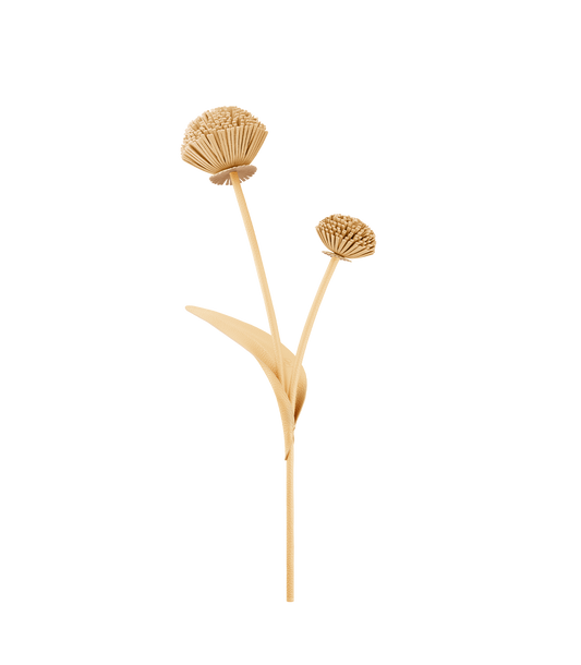Fleur Tul - Duo Blé Grainé