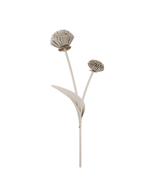 Fleur Tul - Duo Craie