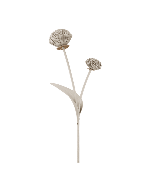 Fleur Tul - Duo Craie Grainé